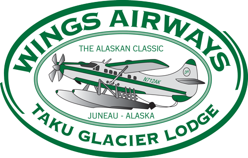 Logo of Wings Airways [WAW] airline